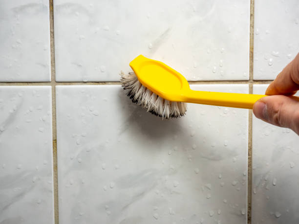 Best Emergency Mold Removal  in Woodbine, IA