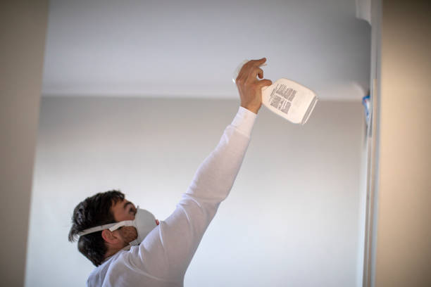 Best Mold Testing  in Woodbine, IA