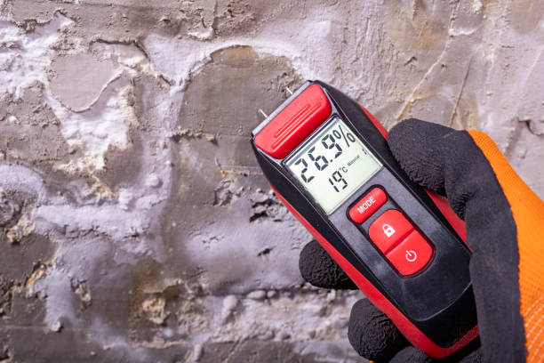 Best Mold Testing and Removal  in Woodbine, IA