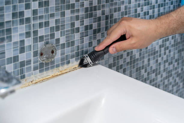 Office Mold Removal Services in Woodbine, IA